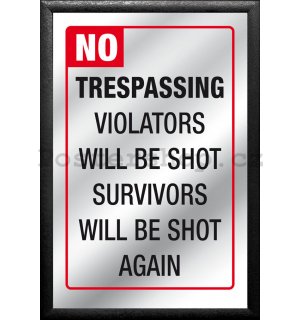 Zrcadlo - Violators Will Be Shot