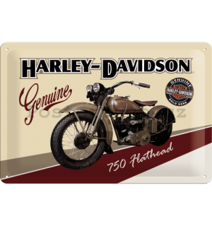 Plechová cedule: Harley-Davidson Genuine (750 Flathead) - 20x30 cm