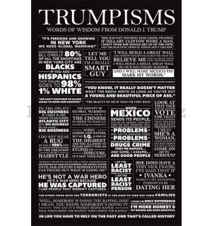 Plakát - Trumpisms