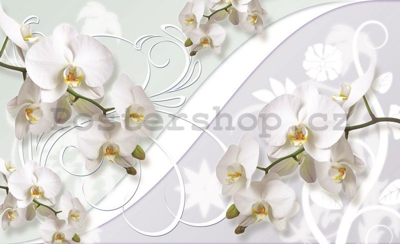 Fototapeta: Bílá orchidej (vzor) - 184x254 cm