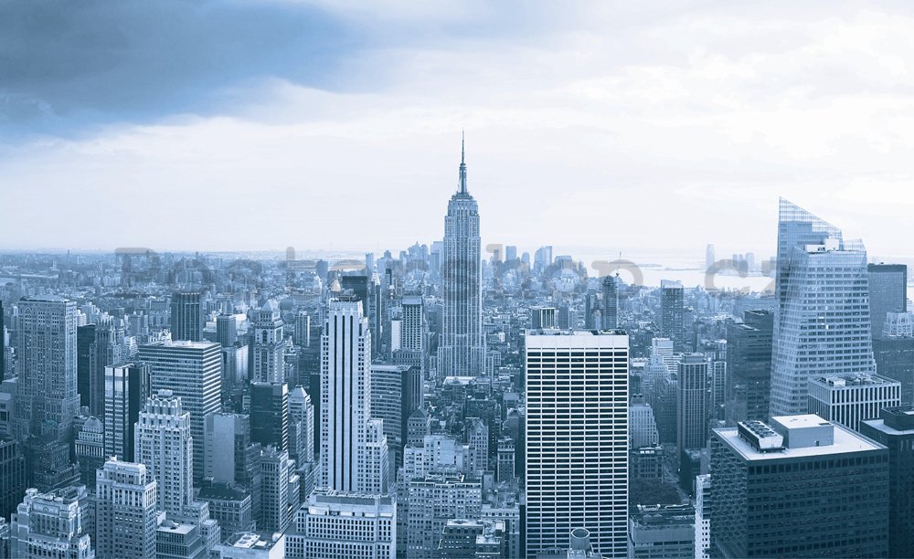 Fototapeta: Výhled na Manhattan - 184x254 cm