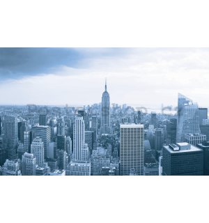 Fototapeta: Výhled na Manhattan - 184x254 cm