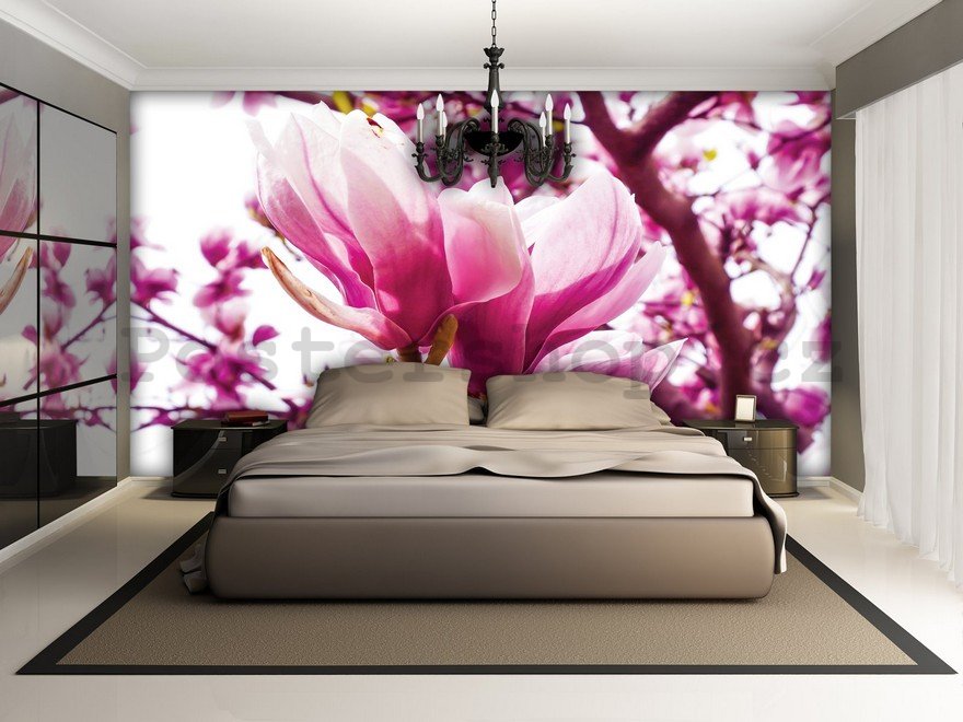 Fototapeta: Růžová magnolie - 184x254 cm