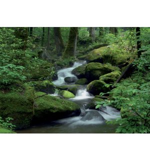 Fototapeta: Lesní potok (1) - 184x254 cm