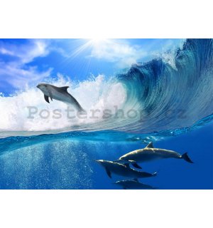 Fototapeta: Delfíni - 184x254 cm