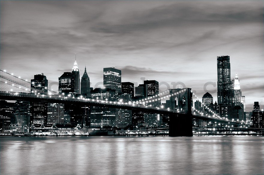 Fototapeta: Brooklyn Bridge (černobílý) - 184x254 cm