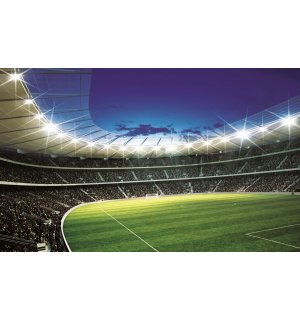 Fototapeta: Fotbalový Stadion (1) - 184x254 cm