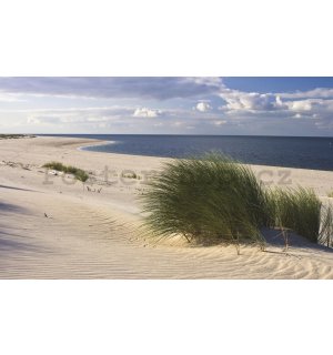 Fototapeta: Písečná pláž (1) - 184x254 cm