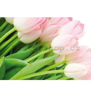 Fototapeta: Kytice tulipánů - 184x254 cm
