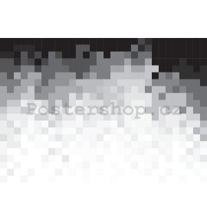 Fototapeta: Černobílé pixely (1) - 184x254 cm
