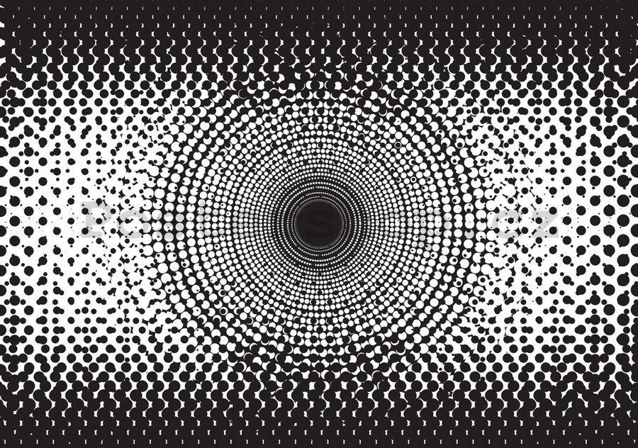 Fototapeta: Černobílá abstrakce (2) - 184x254 cm