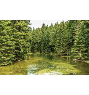 Fototapeta: Lesní tůně (2) - 184x254 cm