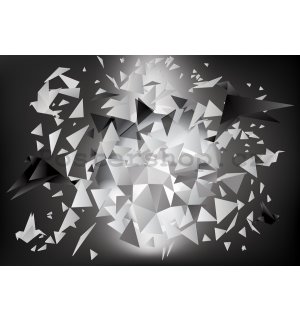 Fototapeta: Černobílé origami (1) - 254x368 cm