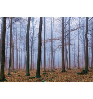 Fototapeta: Mlha v lese (1) - 184x254 cm