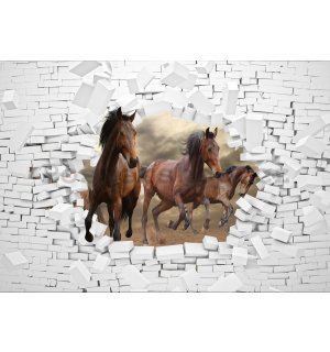 Fototapeta: Koně ve zdi - 184x254 cm