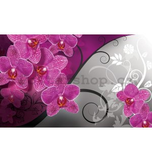 Fototapeta: Orchideje (3) - 184x254 cm