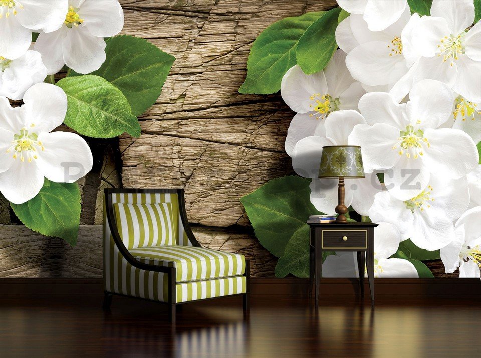 Fototapeta: Bílé orchideje (2) - 184x254 cm
