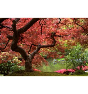 Fototapeta: Kvetoucí strom - 184x254 cm