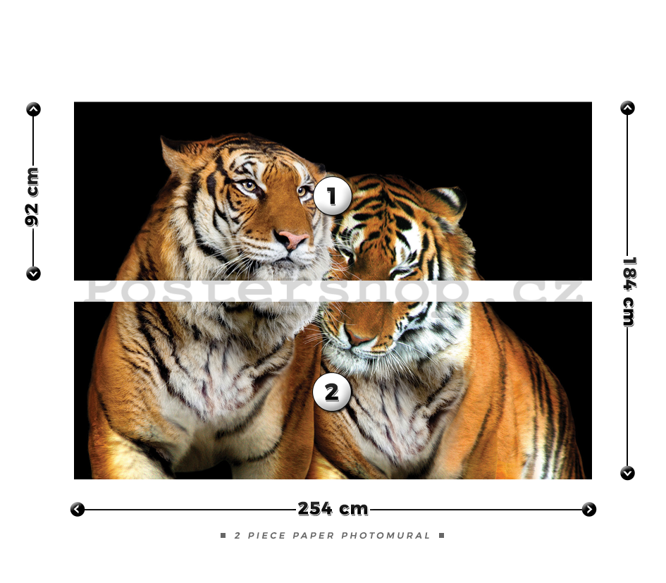 Fototapeta: Dva tygři - 184x254 cm