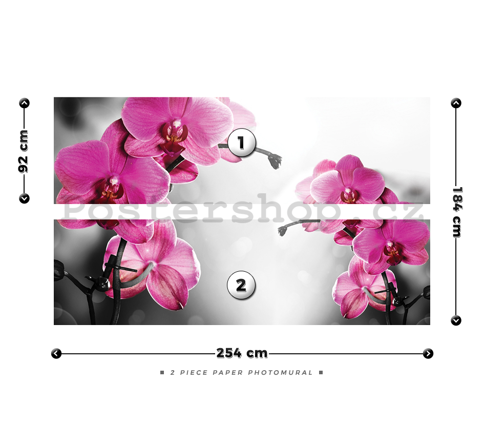 Fototapeta: Orchidej na šedém pozadí - 184x254 cm