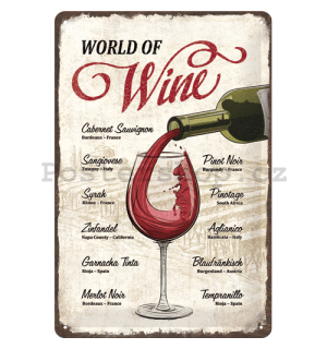 Plechová cedule: World of Wine - 30x20 cm