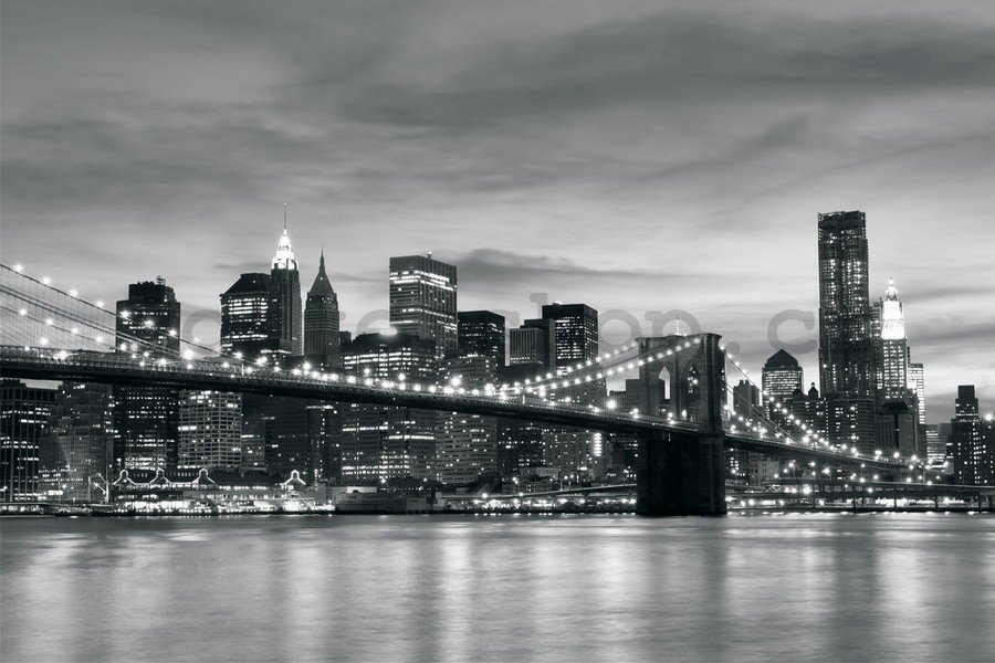 Fototapeta vliesová: Brooklyn Bridge - 104x152,5 cm
