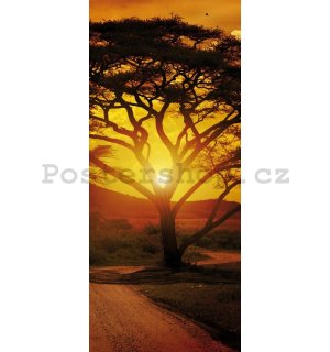 Fototapeta samolepící: Africký západ slunce - 211x91 cm