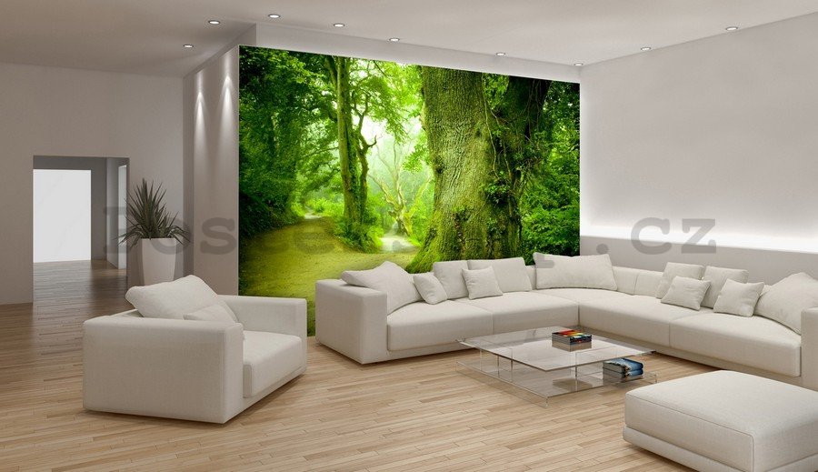 Fototapeta vliesová: Kouzelný les - 104x152,5 cm