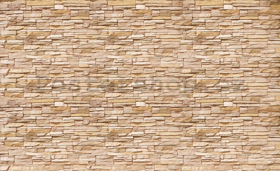 Fototapeta vliesová: Kamenná zeď (2) - 184x254 cm