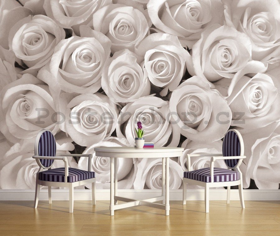 Fototapeta vliesová: Bílá růže - 104x152,5 cm