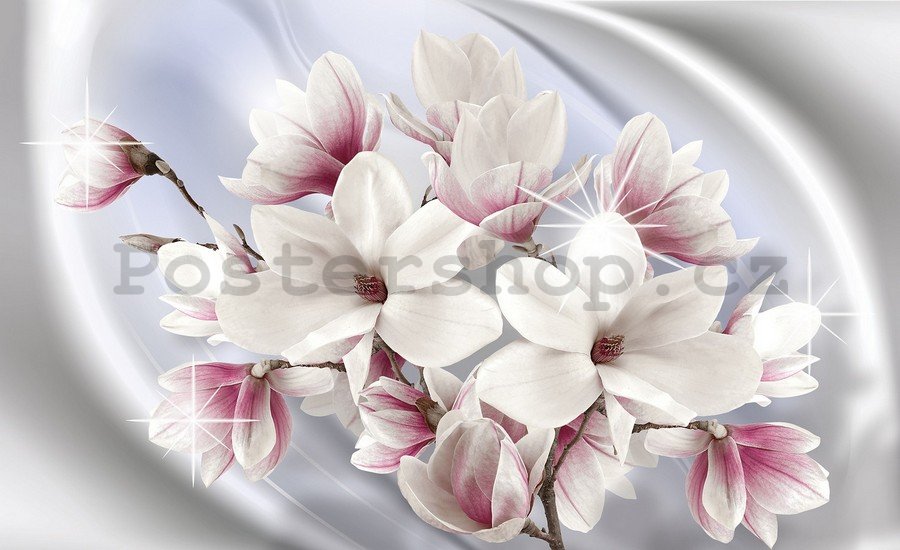Fototapeta vliesová: Magnolie (1) - 184x254 cm