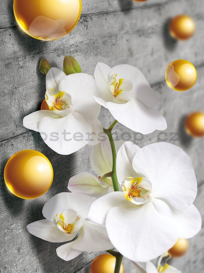 Fototapeta: Orchidej a žluté kuličky - 254x184 cm
