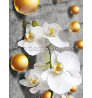 Fototapeta: Orchidej a žluté kuličky - 254x184 cm