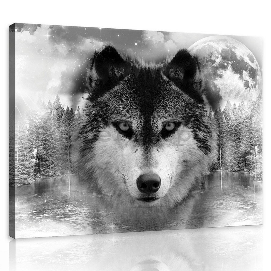 Obraz na plátně: Vlk (3) - 75x100 cm