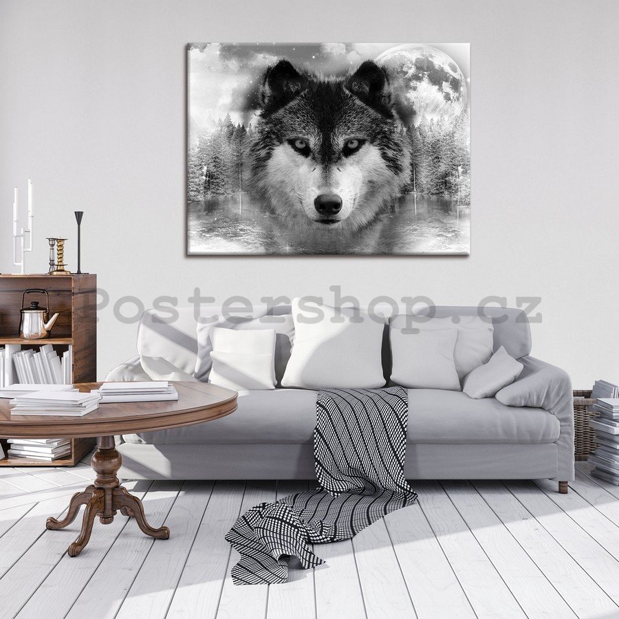 Obraz na plátně: Vlk (3) - 75x100 cm