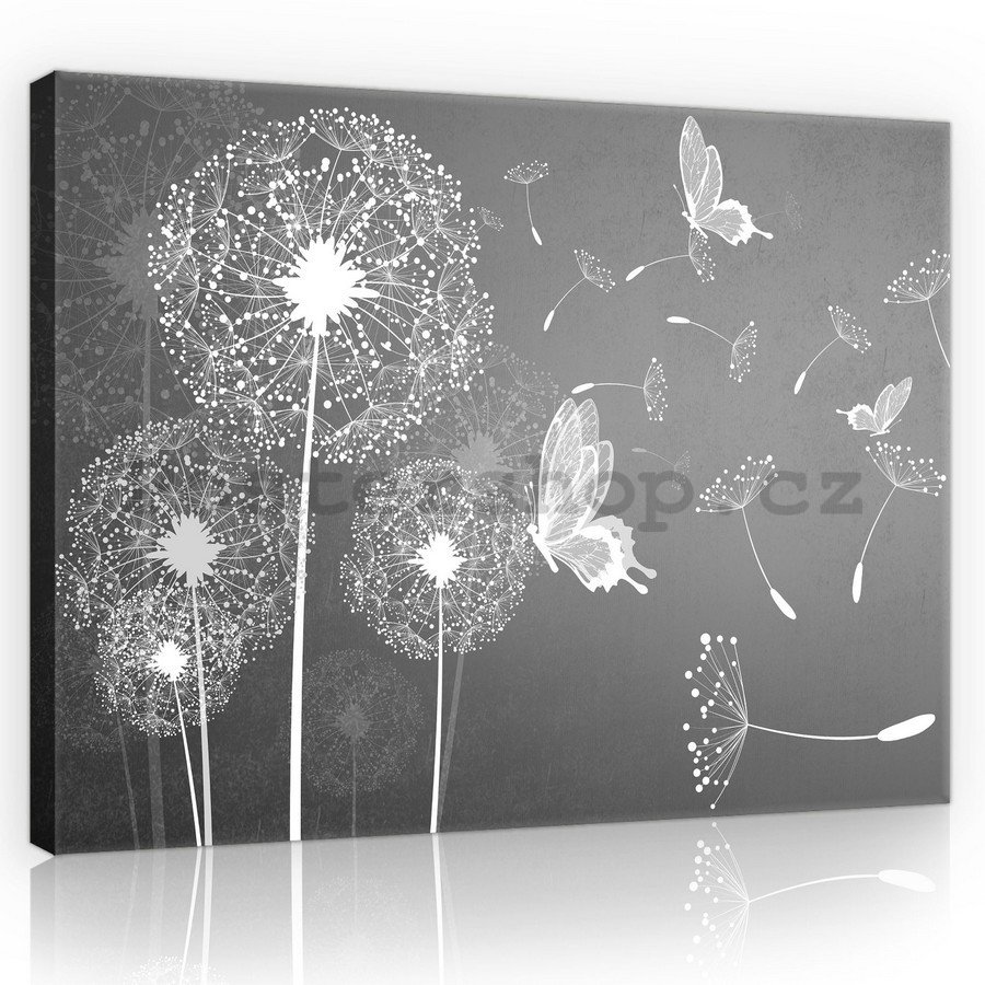 Obraz na plátně: Pampelišky a motýli - 75x100 cm
