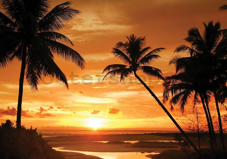 Obraz na plátně: Západ slunce na pláži (2) - 75x100 cm