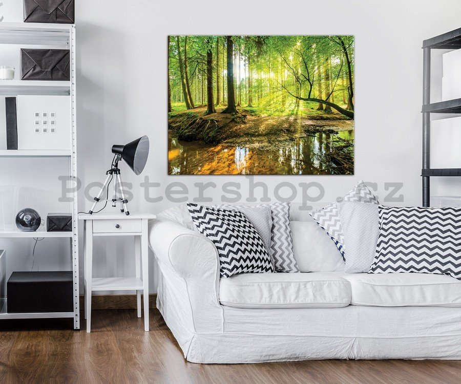 Obraz na plátně: Lužní les - 75x100 cm