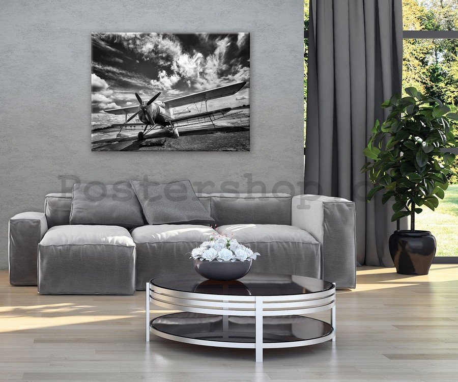 Obraz na plátně: Dvojplošník (černobílé) - 75x100 cm