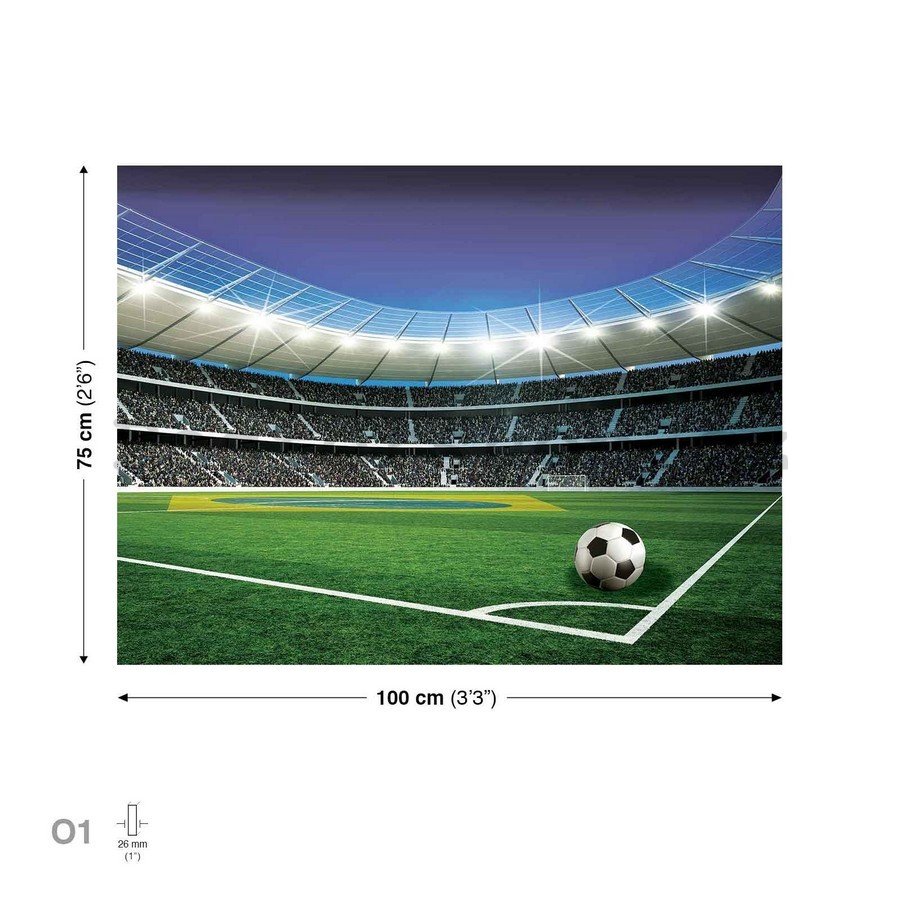 Obraz na plátně: Fotbalový stadion (5) - 75x100 cm