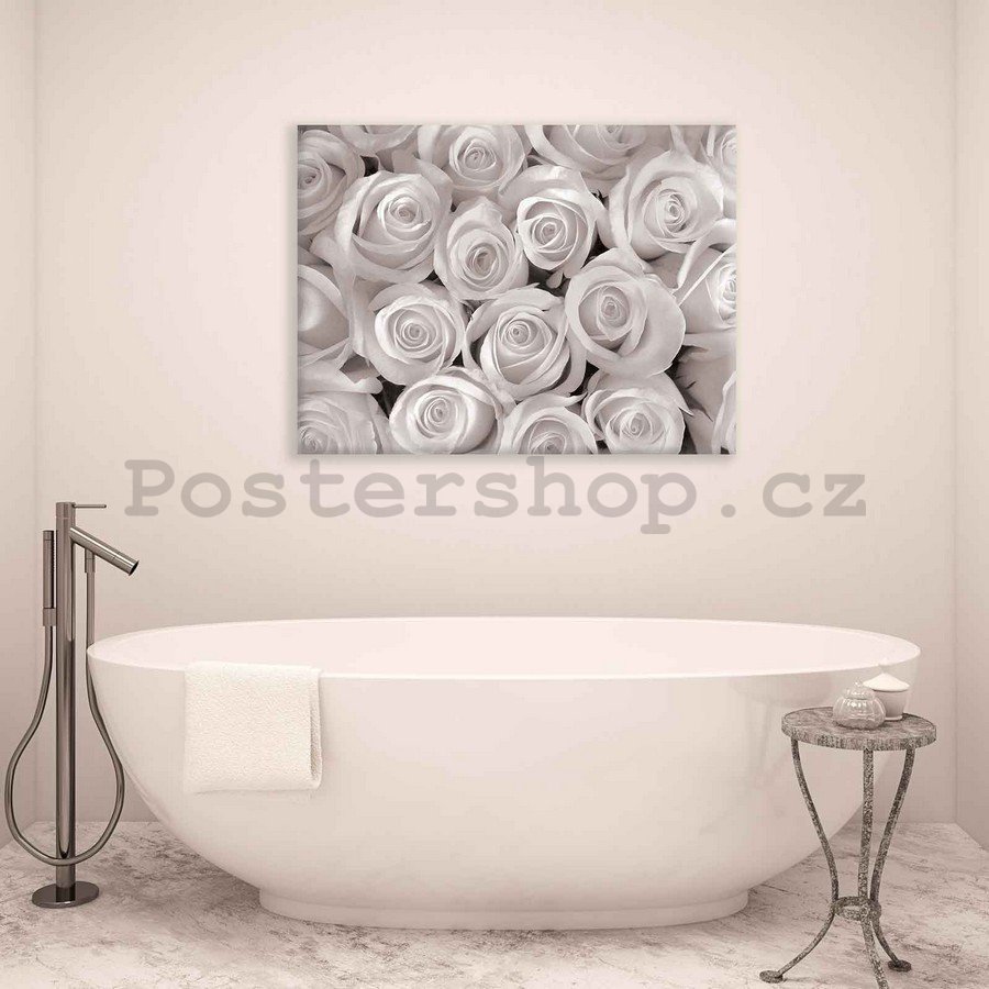 Obraz na plátně: Bílá růže - 75x100 cm