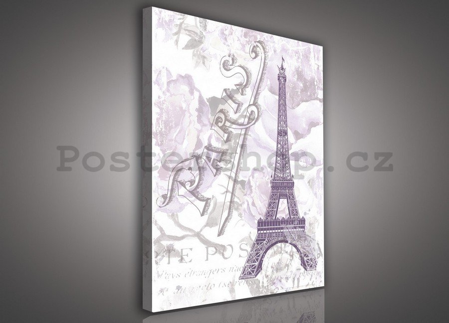 Obraz na plátně: Eiffelova věž (Paříž) - 75x100 cm