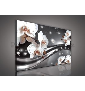 Obraz na plátně: Orchideje a abstrakce - 75x100 cm