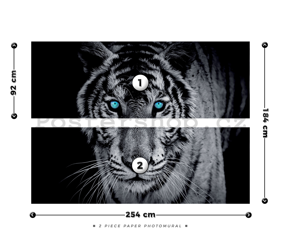 Fototapeta: Černobílý tygr - 184x254 cm