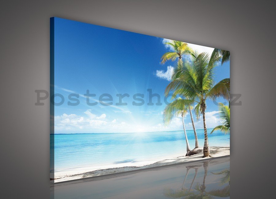 Obraz na plátně: Palmy na pláži - 75x100 cm