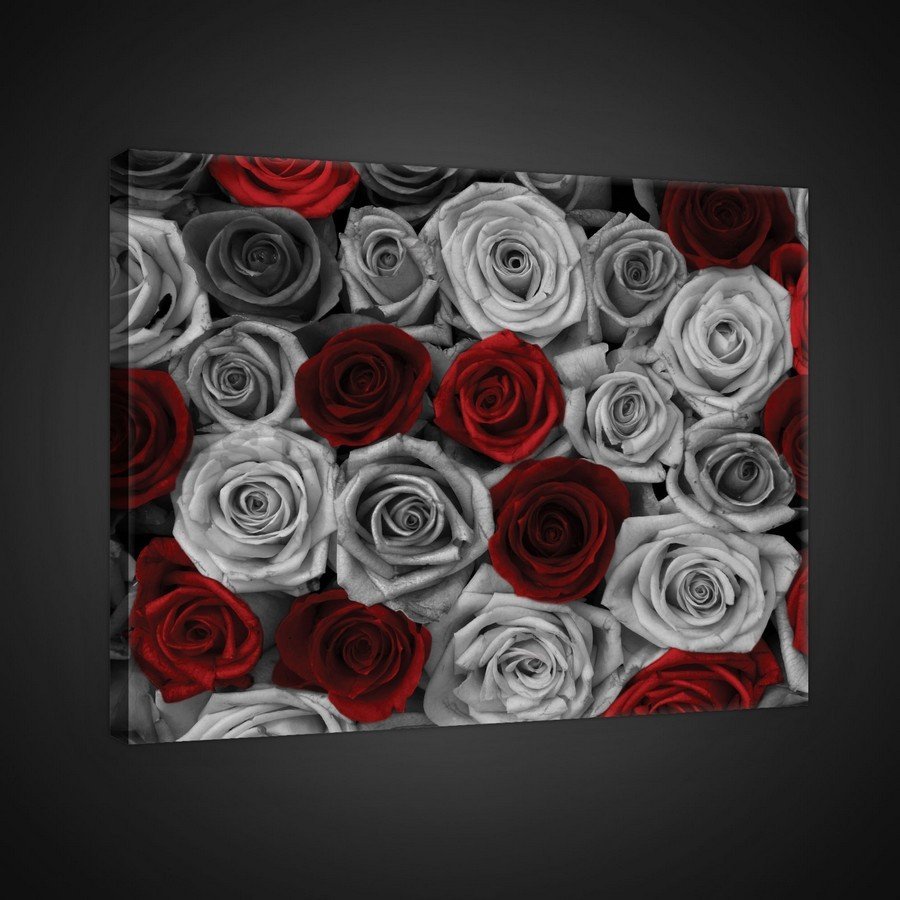 Obraz na plátně: Bílé a červené růže (1) - 75x100 cm