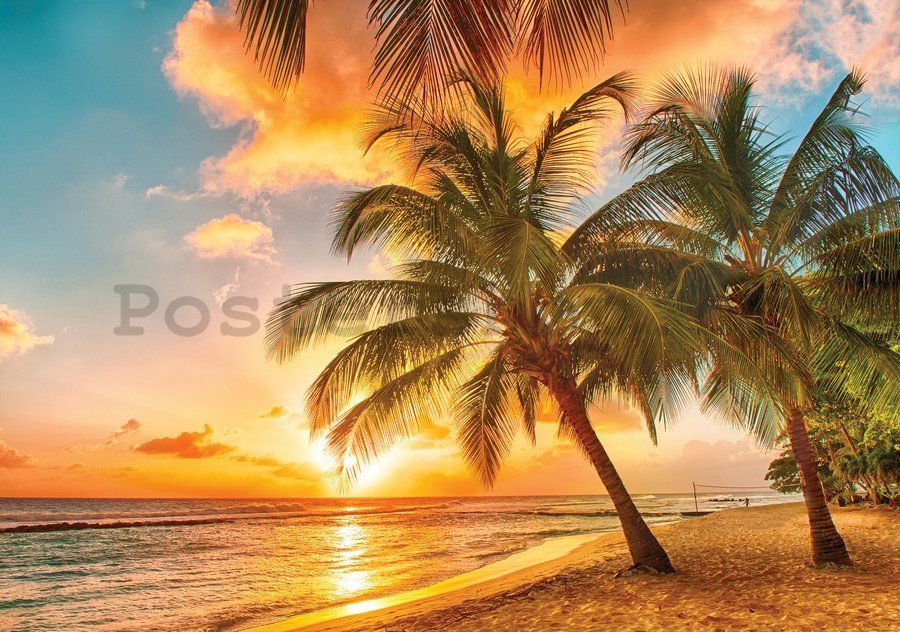 Obraz na plátně: Západ slunce v ráji - 75x100 cm
