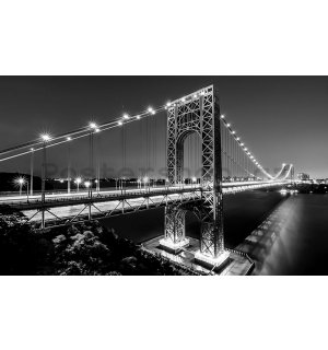 Obraz na plátně: Manhattan Bridge (černobílý) - 75x100 cm