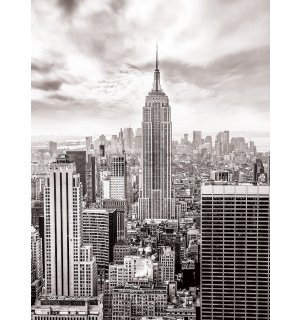 Fototapeta: Pohled na New York (černobílá) - 254x184 cm