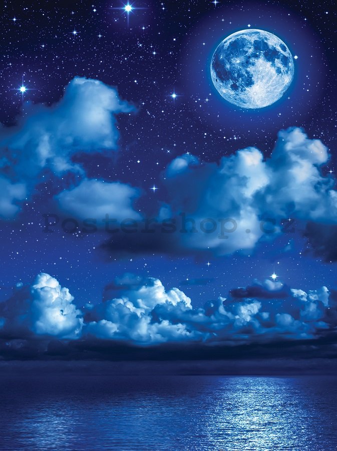 Fototapeta: Měsíční noc - 254x184 cm